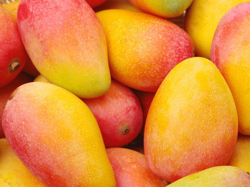 1384169-mango-wallpaper-1920x1080-for-1080p